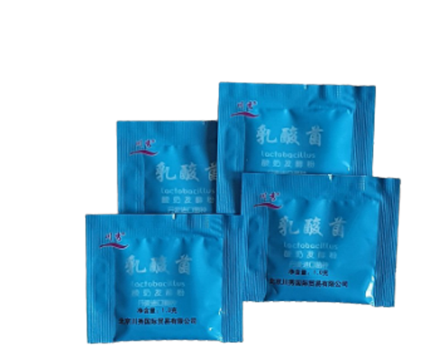 Lactobacillus Yoghurt Starter 1